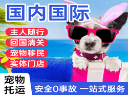 西宁航空空运国际宠物托运 【国